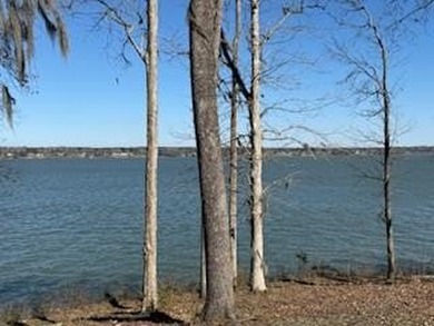 Lake Eufaula / Walter F George Reservoir Acreage For Sale in Eufaula Alabama
