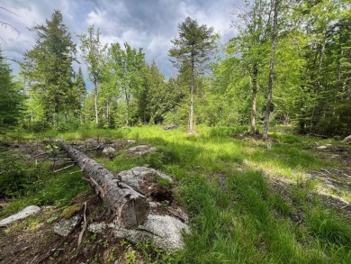 Lake Acreage For Sale in Dedham, Maine