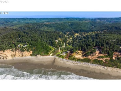 RARE, LARGE, 27.2 +/- OCEANFRONT PARCEL ZONED Rural - photo 6