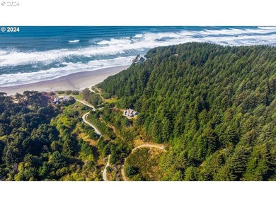 RARE, LARGE, 27.2 +/- OCEANFRONT PARCEL ZONED Rural - photo 7