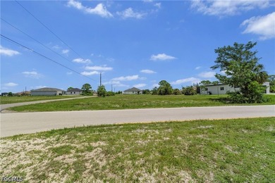 Build your dream home on this exceptional Gulf access waterfront - photo 8