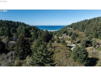 RARE, LARGE, 27.2 +/- OCEANFRONT PARCEL ZONED Rural - photo 9