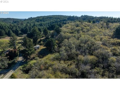 RARE, LARGE, 27.2 +/- OCEANFRONT PARCEL ZONED Rural - photo 10