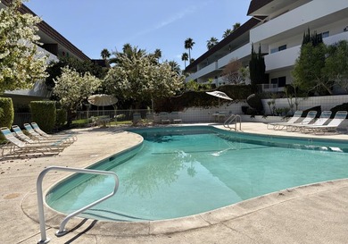 Mid Century marvel, stylishly renovated by resident owner - photo 33