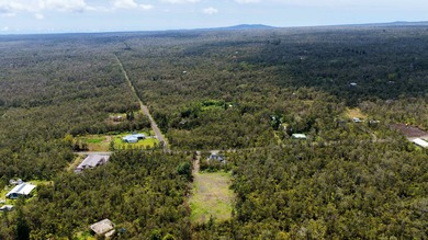 Build Your Vision: 20,000 Sq. Ft. Flag Lot Opportunity awaits on - photo 4