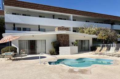 Mid Century marvel, stylishly renovated by resident owner - photo 35