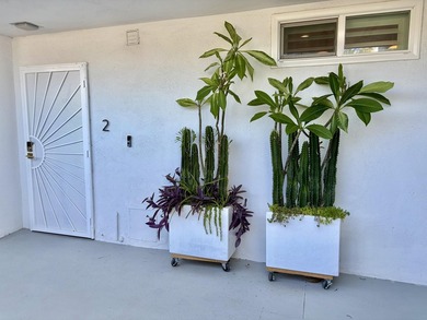 Mid Century marvel, stylishly renovated by resident owner - photo 37