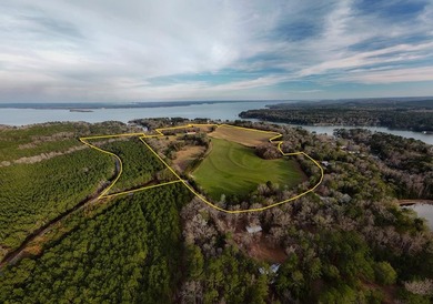 Exceptional 113 acre investment opportunity near Lake Eufaula - photo 4