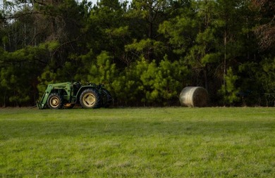 Exceptional 113 acre investment opportunity near Lake Eufaula - photo 5