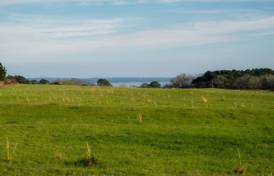 Exceptional 113 acre investment opportunity near Lake Eufaula - photo 6
