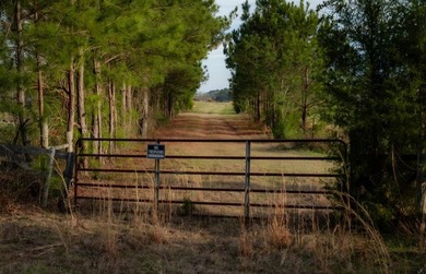 Exceptional 113 acre investment opportunity near Lake Eufaula - photo 7