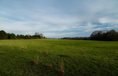 Exceptional 113 acre investment opportunity near Lake Eufaula - photo 8