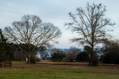 Exceptional 113 acre investment opportunity near Lake Eufaula - photo 9