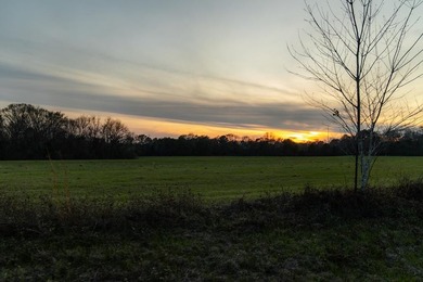 Exceptional 113 acre investment opportunity near Lake Eufaula - photo 10