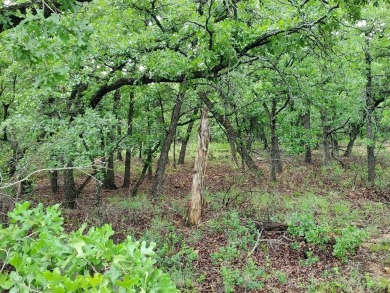 Lake Acreage For Sale in Sunset, Texas