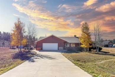 Hatcher Reservoir Home For Sale in Pagosa Springs Colorado