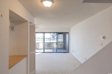 Waterfront living meets timeless charm at Belle Isle Yacht Club! - photo 10