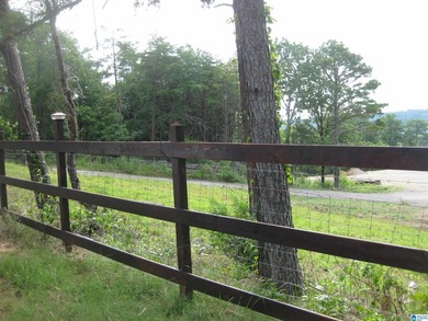Excellent Opportunity to develop in a PRIME area of the growing - photo 1