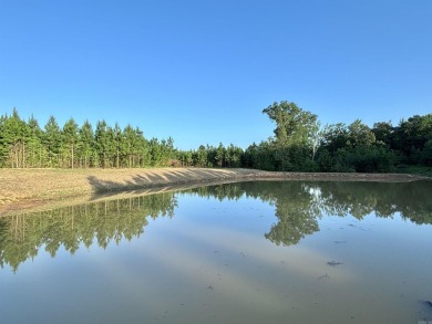 Lake Acreage For Sale in Mena, Arkansas