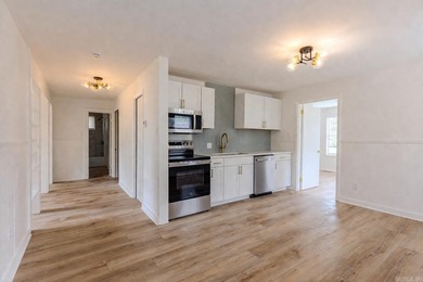 Completely remodeled lakefront home on Harris Brake Lake! This - photo 11
