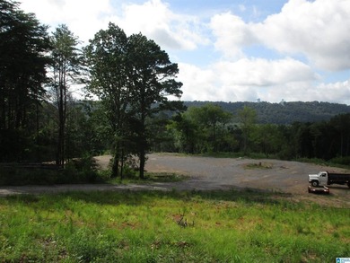 Excellent Opportunity to develop in a PRIME area of the growing - photo 4