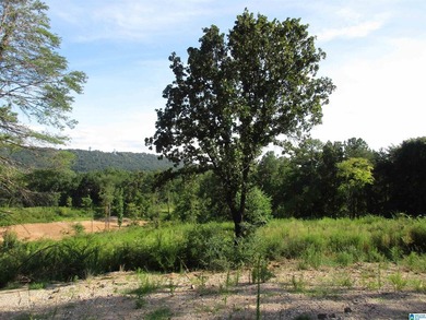 Excellent Opportunity to develop in a PRIME area of the growing - photo 6