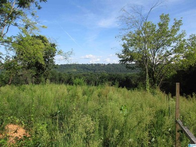 Excellent Opportunity to develop in a PRIME area of the growing - photo 7