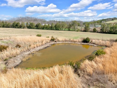 Nestled in the foothills of the beautiful East Tennessee - photo 17