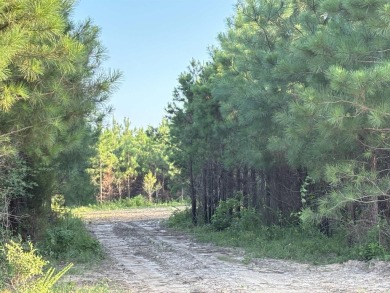 Lake Acreage For Sale in Mena, Arkansas