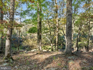 Welcome to your peaceful mountain escape nestled within the - photo 29