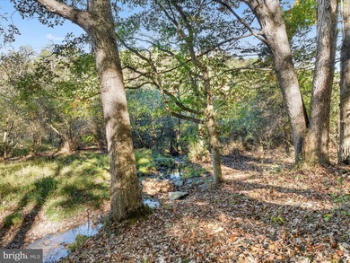 Welcome to your peaceful mountain escape nestled within the - photo 30