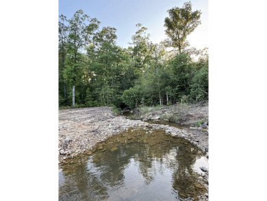 Lake Acreage For Sale in Mena, Arkansas