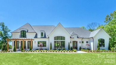 This is an absolutely stunning 6000 sq. ft. new construction - photo 2