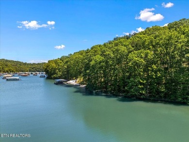 Norris Lake Acreage For Sale in Lafollette Tennessee