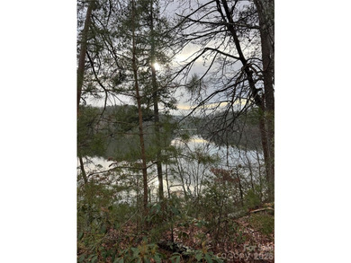 This parcel is a true gem! If you are interested in waterfront - photo 3