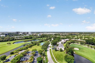 Experience elevated condo living from the 17th floor at The - photo 3