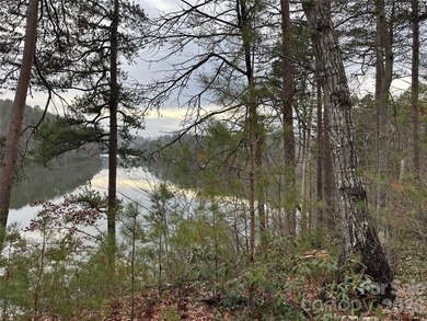 This parcel is a true gem! If you are interested in waterfront - photo 5