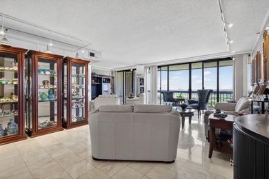 Experience elevated condo living from the 17th floor at The - photo 6