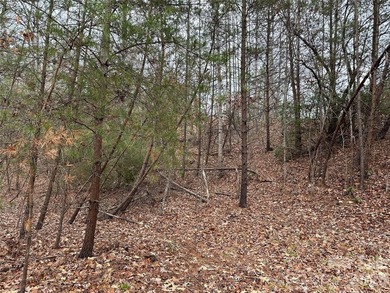 This parcel is a true gem! If you are interested in waterfront - photo 8
