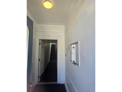 Invest in this rare 4-family property in the heart of Dyker - photo 16