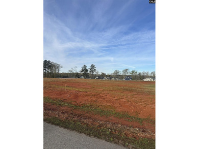Build your dream home on this beautiful 0.53-acre lot in the - photo 5