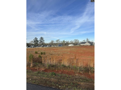 Build your dream home on this beautiful 0.53-acre lot in the - photo 8