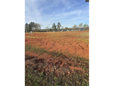 Build your dream home on this beautiful 0.53-acre lot in the - photo 9