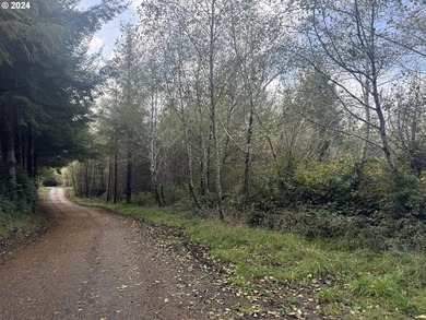 YOUR CHANCE TO OWN 5.34 +/- ACRES with Approx. 60' OF SOUTH - photo 4