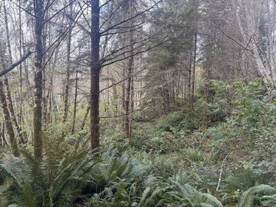 YOUR CHANCE TO OWN 5.34 +/- ACRES with Approx. 60' OF SOUTH - photo 10