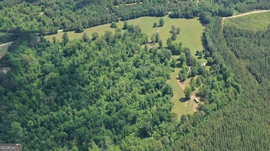 (private lake, pond, creek) Acreage For Sale in Cedartown Georgia