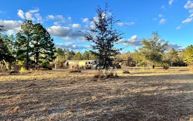 (private lake, pond, coastal) Home For Sale in Jasper Florida