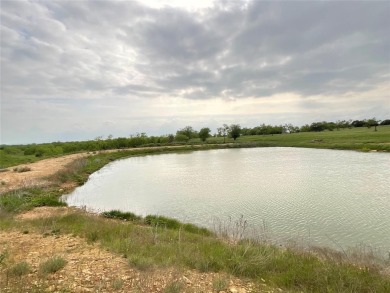 (private lake, pond, creek) Acreage For Sale in Perrin Texas