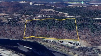 Lake Commercial For Sale in Bull Shoals, Arkansas