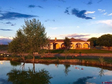 Lake Home For Sale in Cortez, Colorado